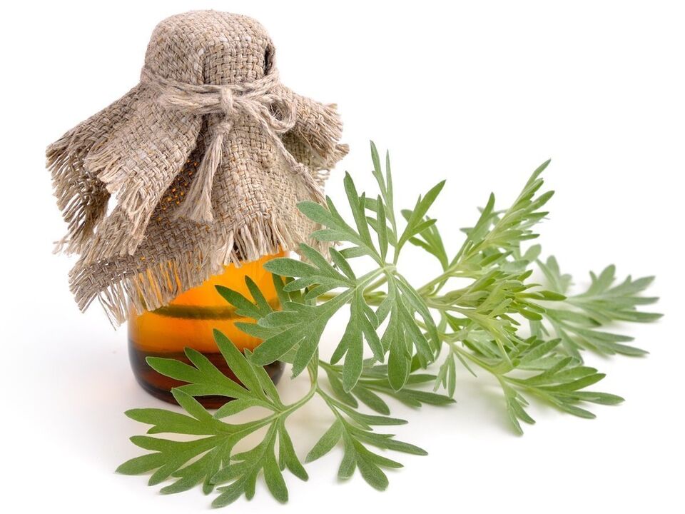 Ingredients Germivir - Mugwort Extract