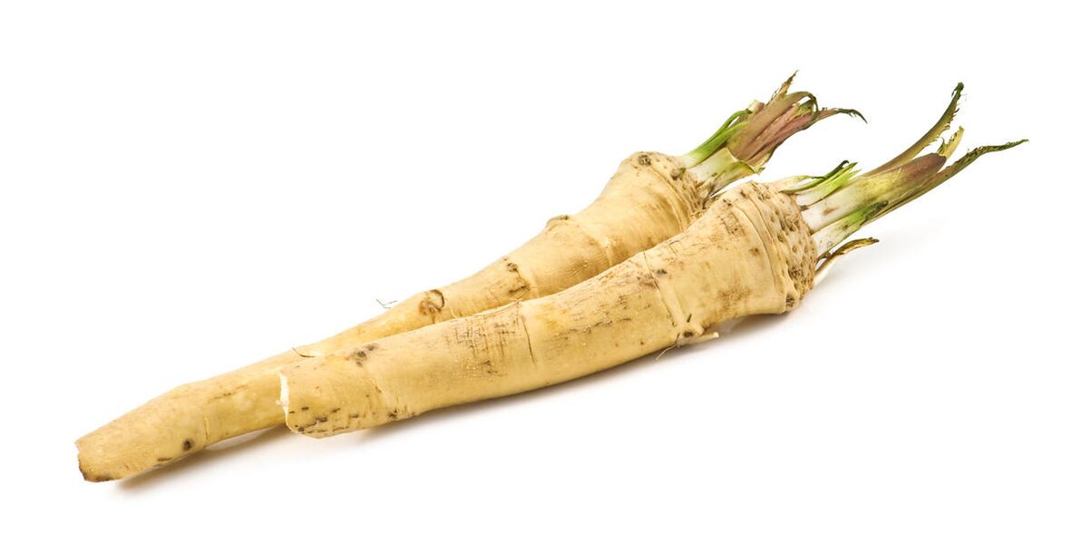 horseradish